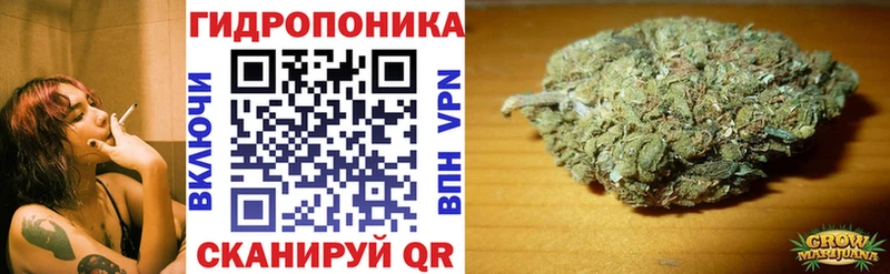 блэк спрут вход  Тайга  Бошки марихуана Ganja 